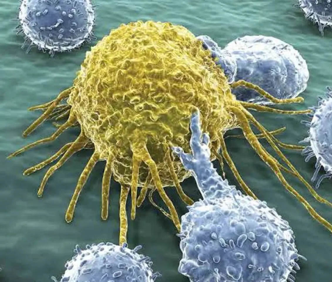 High-tech concept of engineered CAR-T cells designed for precision immunotherapy targeting cancer mutations