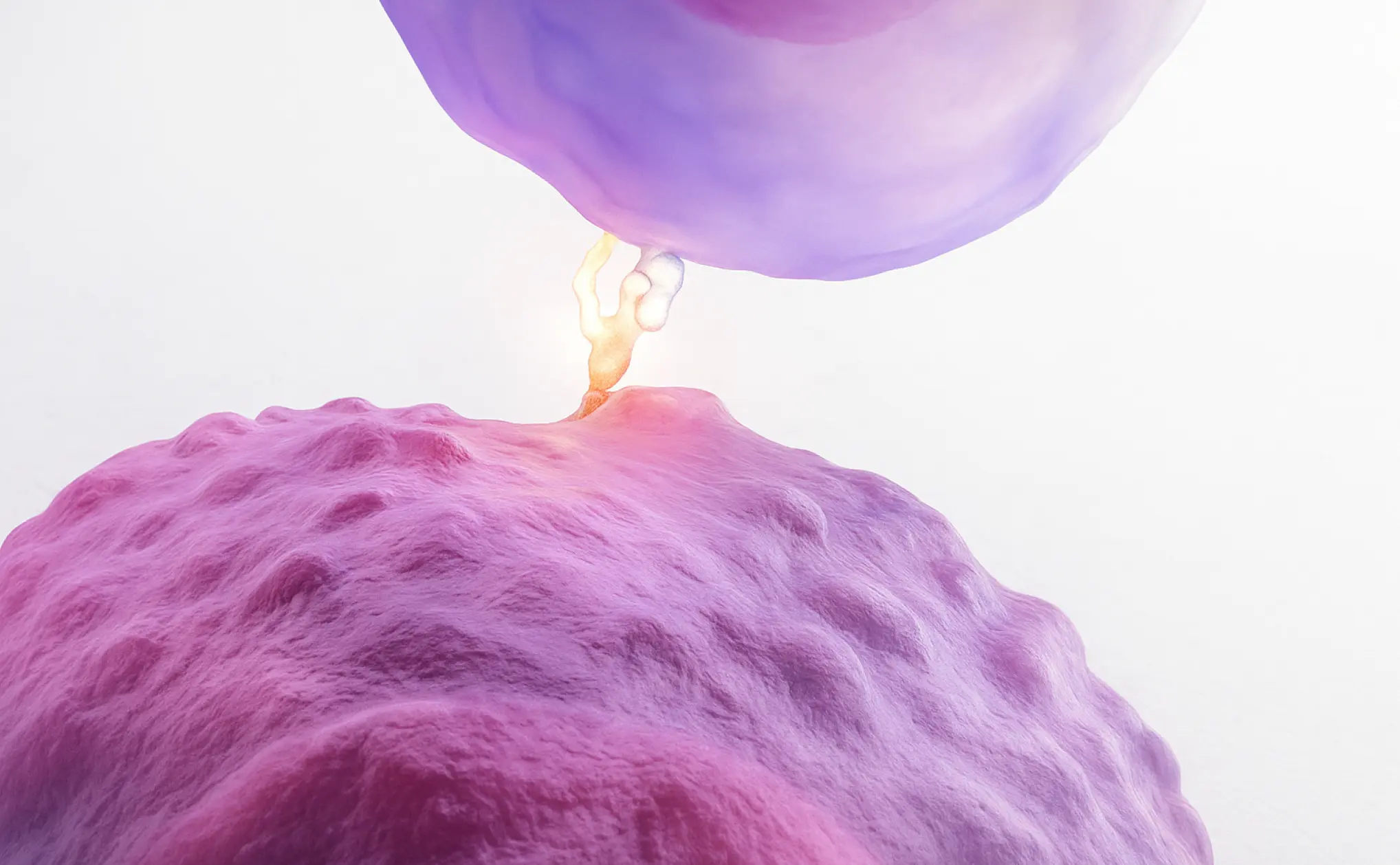 Illustration of immune system treating AL amyloidosis using patient’s own plasma cells in immunotherapy