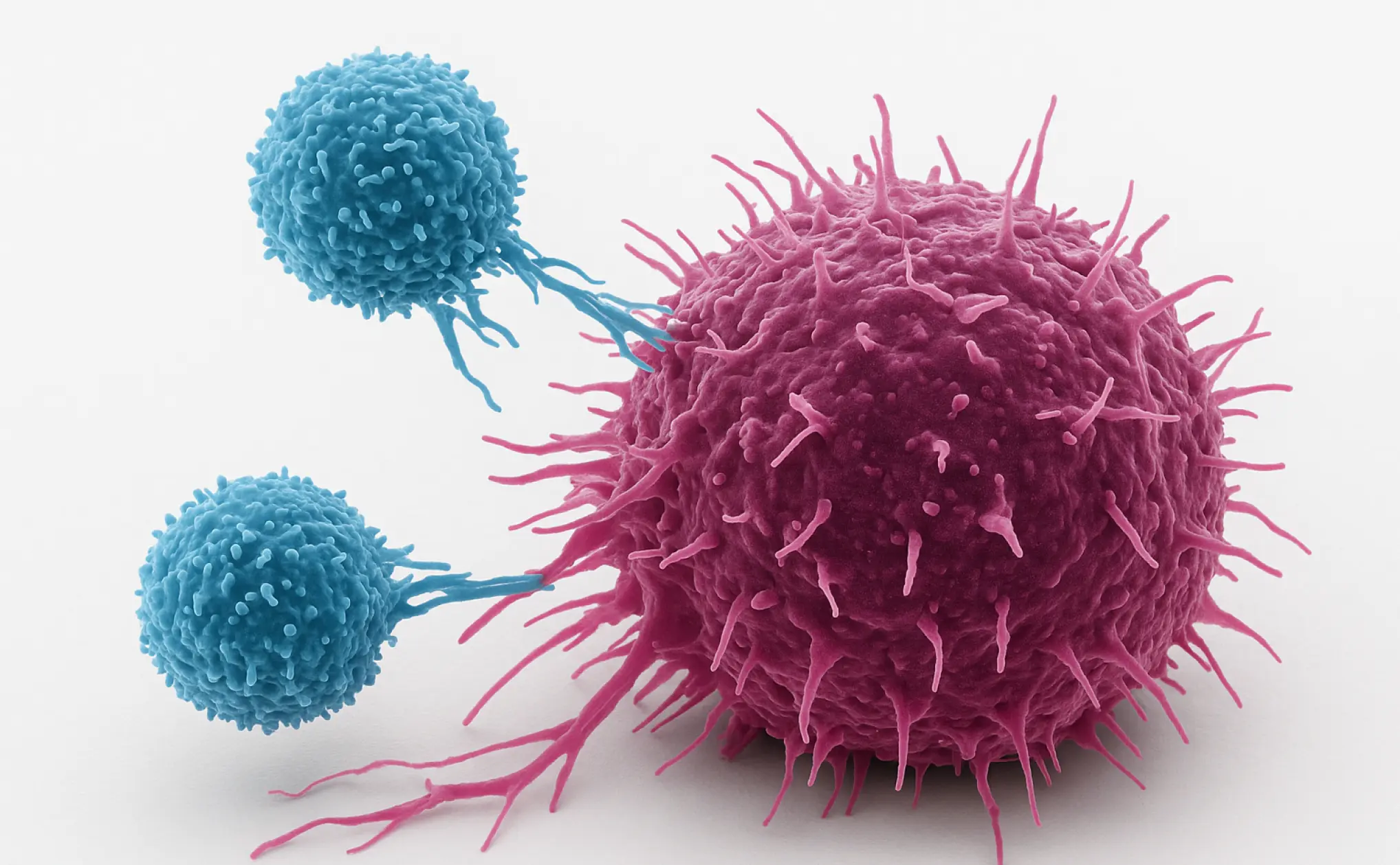 Visualization of dual-target CAR T-cell therapy for mantle cell lymphoma treatment using modified T-cells