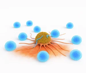 Visual representation of Talquetamab antibody bridging to BCMA CAR-T therapy in relapsed/refractory multiple myeloma treatment.